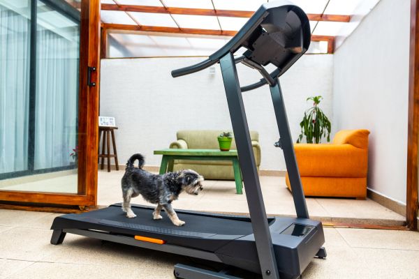 Cost of Treadmill Installation in North Little Rock