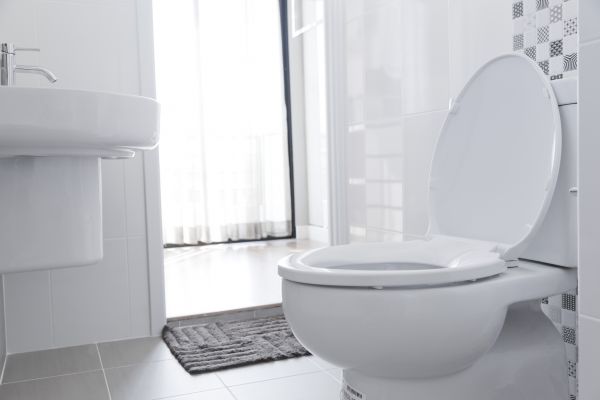 Toilet Seat Installation in North Little Rock