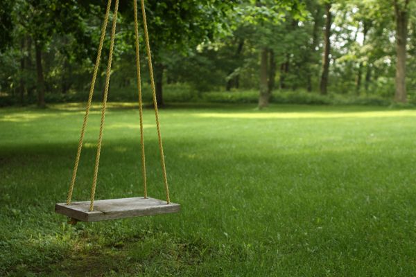 Cost of Rope Swing Installation in North Little Rock