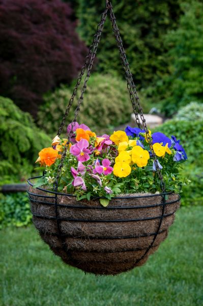 Cost of Hanging Basket Installation in North Little Rock