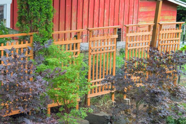 Wood Trellis Mounting in North Little Rock