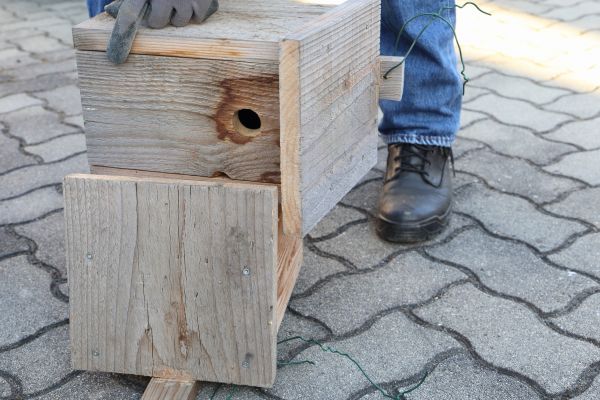 Cost of Birdhouse Mounting in North Little Rock