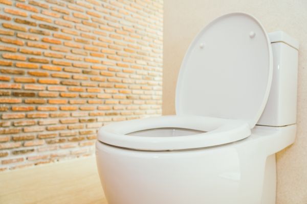 Cost of Toilet Seat Repair in North Little Rock
